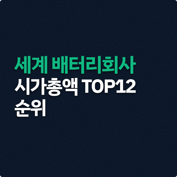  세계 배터리회사 시가총액 TOP12 순위