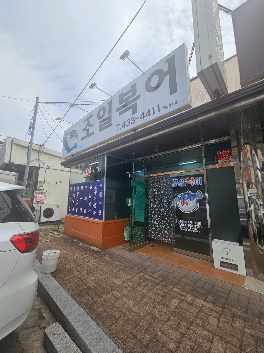 조일복어 사진 1
