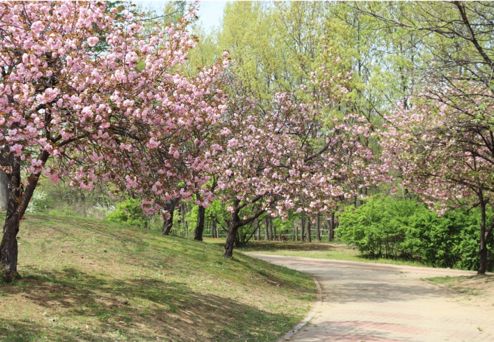 평화의공원 난지연못 사진 6