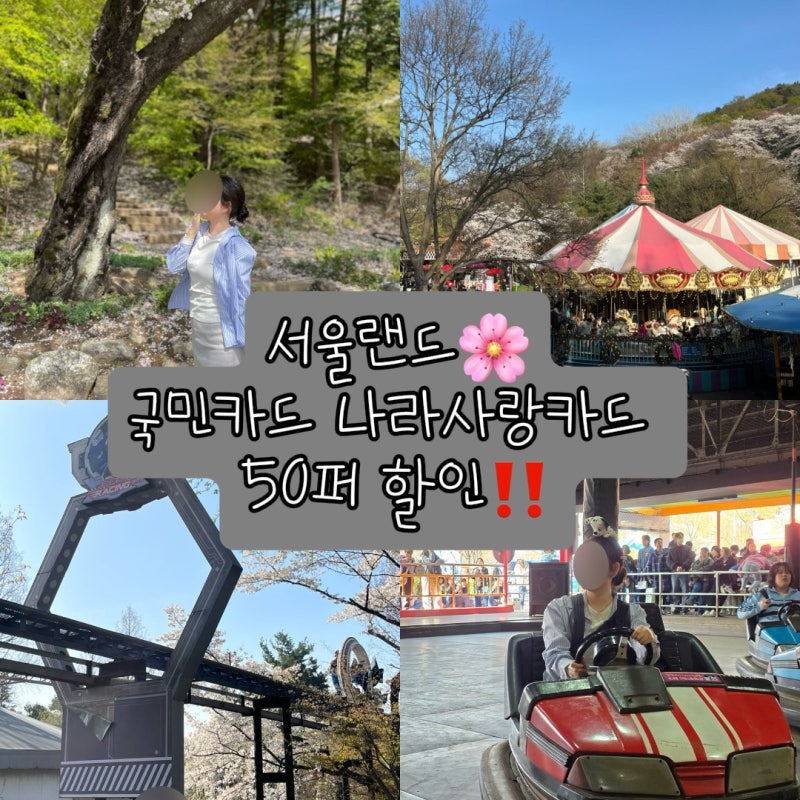 서울랜드 자유이용권 할인 나라사랑카드 국민카드 할인 50%