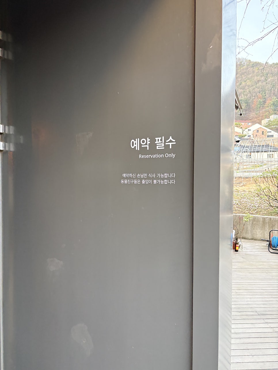 브리사 사진 4