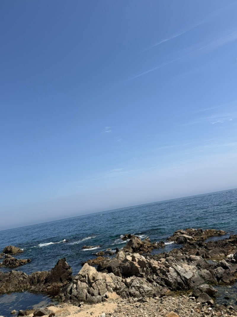 사진 6