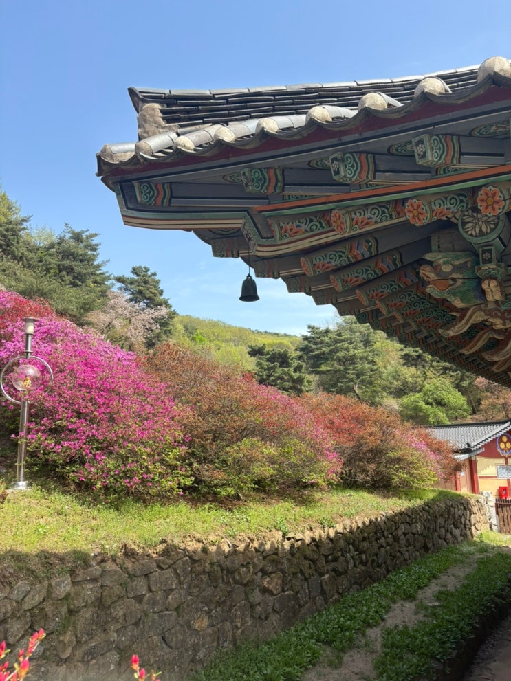  ️ 세종사찰_비암사에 다녀온 후기 (연등 체험, 1인 일등)