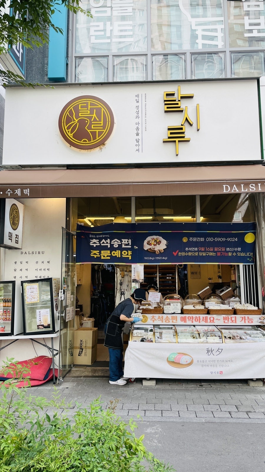 달시루 사진 2