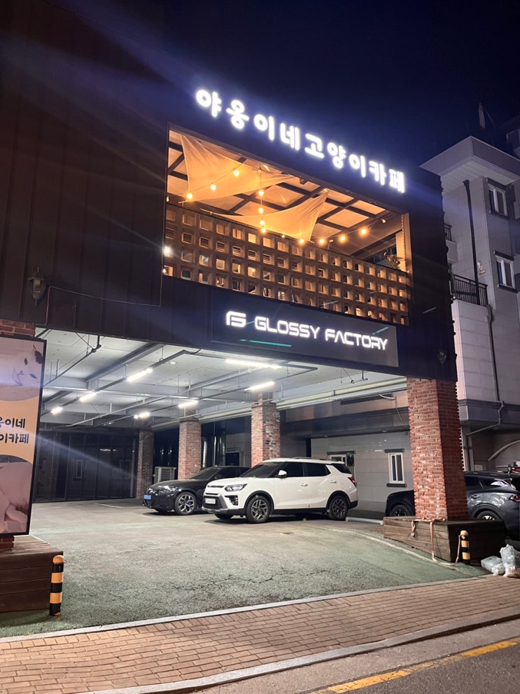  [수원 가볼만한곳] 호매실 야옹이네고양이카페: 34마리 개냥이들과 함께하는 무제한 힐링 타임 (주차/입장료/꿀팁)
