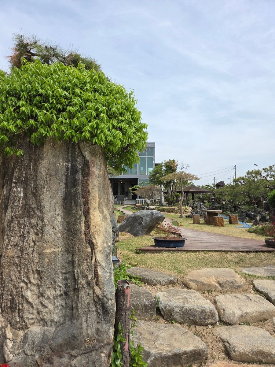 더블럭 사진 6