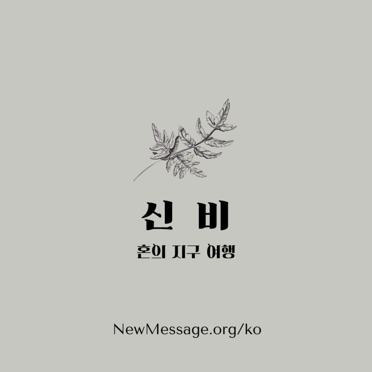  [혼의 지구 여행] 신비