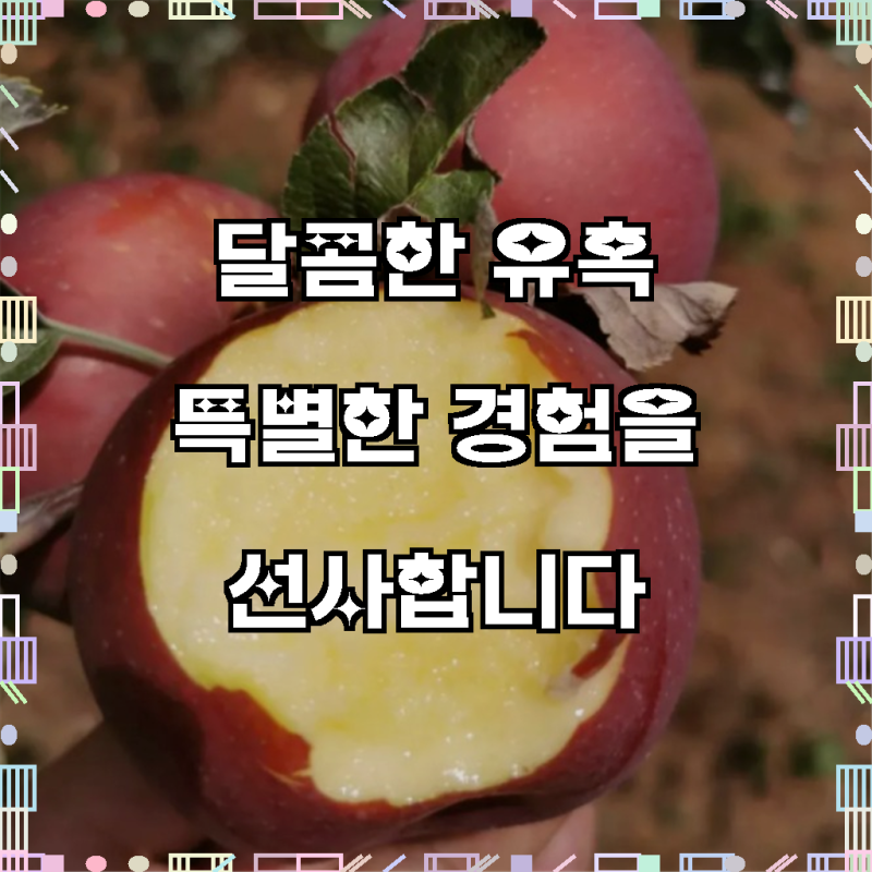[초특급할인]식감감탄 인생꿀맛 재구매확신 못난이 부사사과, 1박스, 3kg - 그냥 사세요, 후회 ....