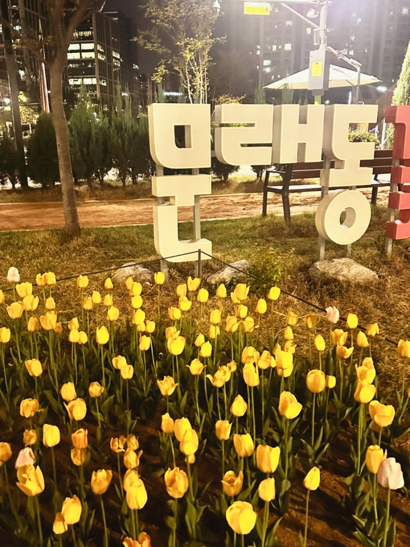 사진 6