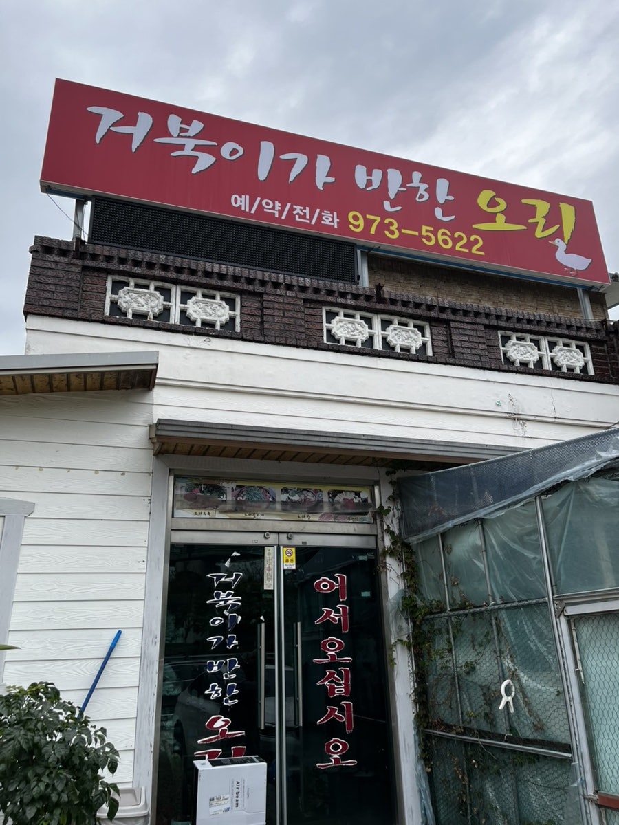 거북이가반한오리 사진 1