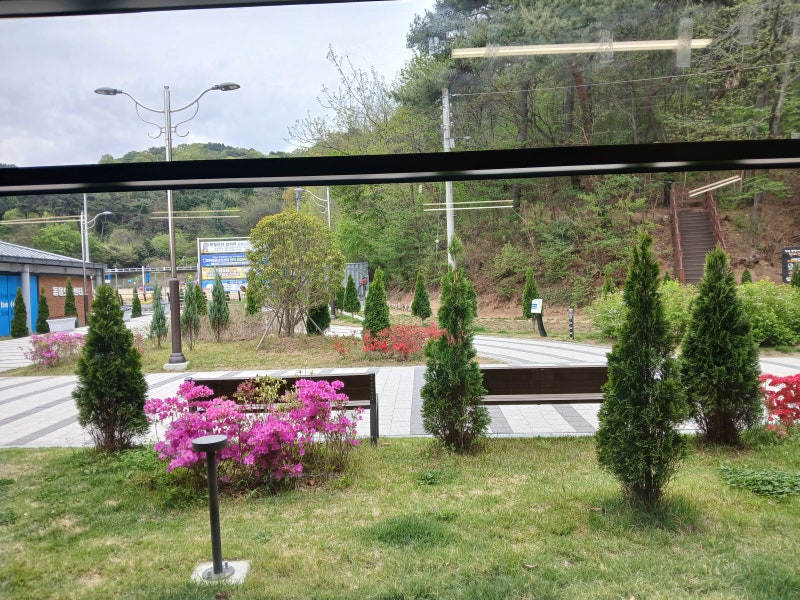 오비오 창원펫빌리지점 — 창원시