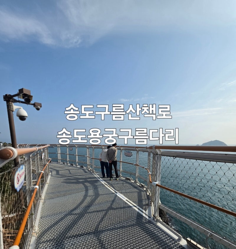 사진 4
