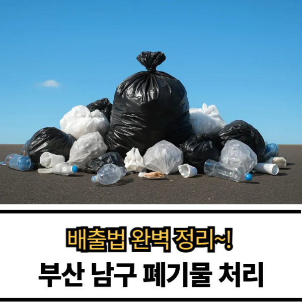 부산 남구 폐기물 배출법 완벽 정리｜요일·시간·재활용 한눈에