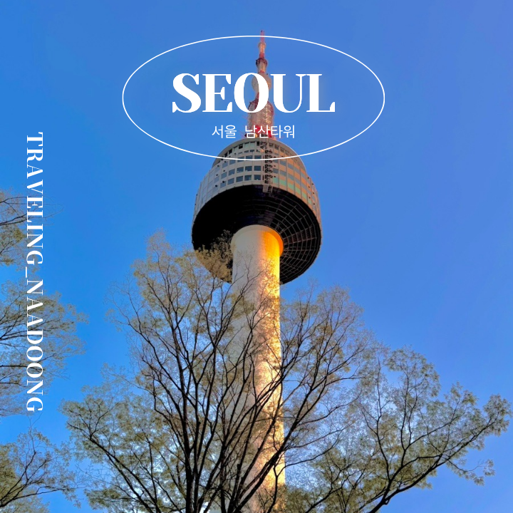 서울 충무로역에서 남산타워 순환 버스 타고 가는 법 남산 전망대 예약