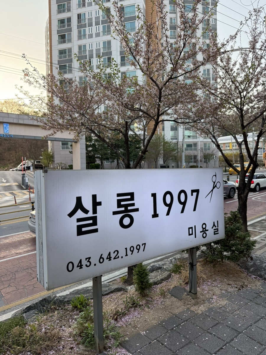 살롱1997 사진 1