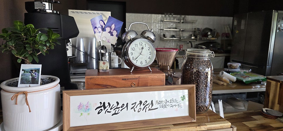 햇닢의정원 사진 6