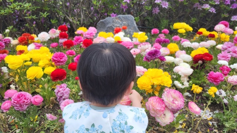 용인 아이랑 가볼만한 곳 농촌테마파크 봄축제
