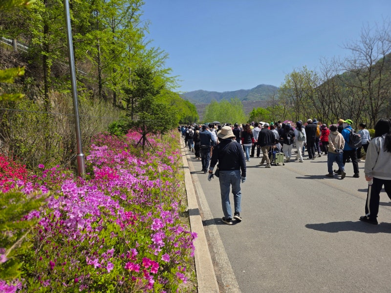사진 10