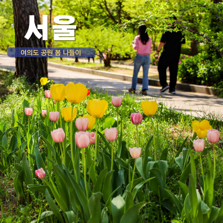  여의도공원 주차장 서울달 열기구 봄소풍 서울 봄 나들이