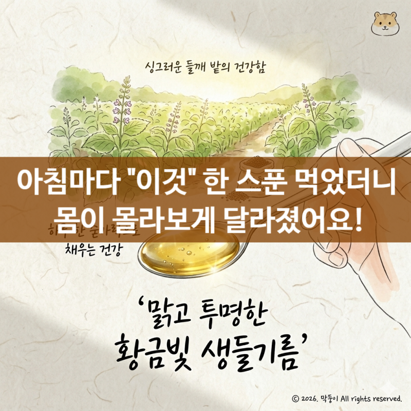 생들기름 효능 7가지 "이것" 부작용 주의하고 먹어야 합니다.