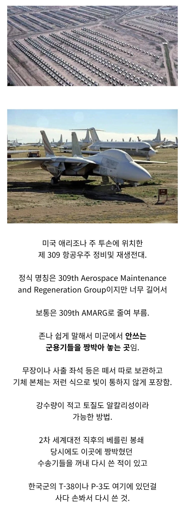  알리캣이 뒤진 시점에서 최후의 톰캣이 있는 장소.jpg