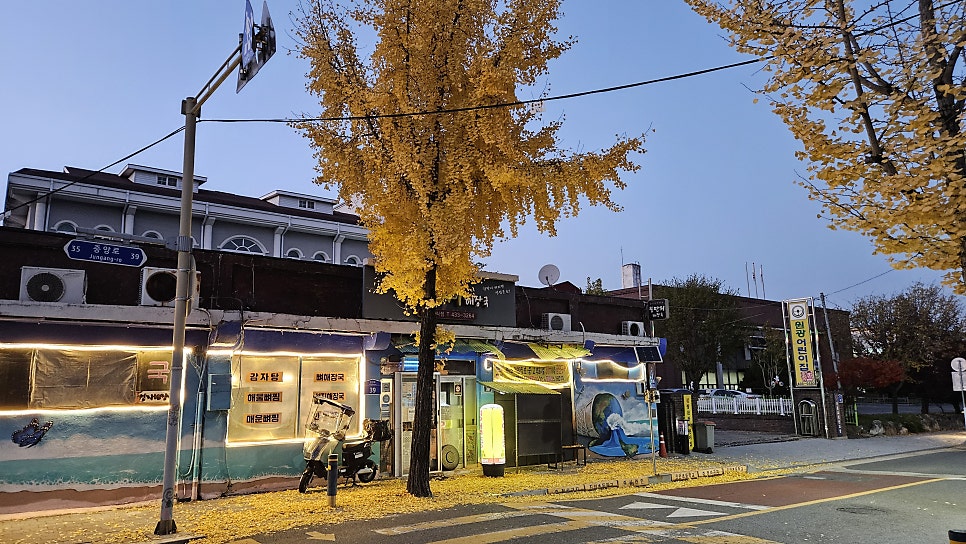 뚱딴지해장국 사진 1