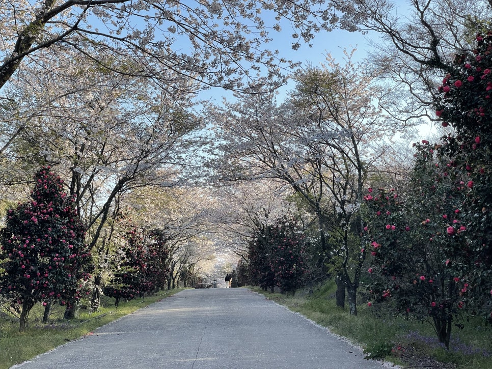 감따남 사진 6