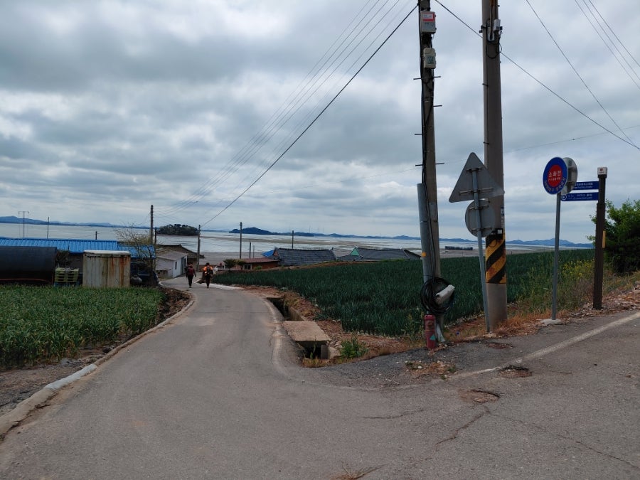 봉황산임도 사진 3