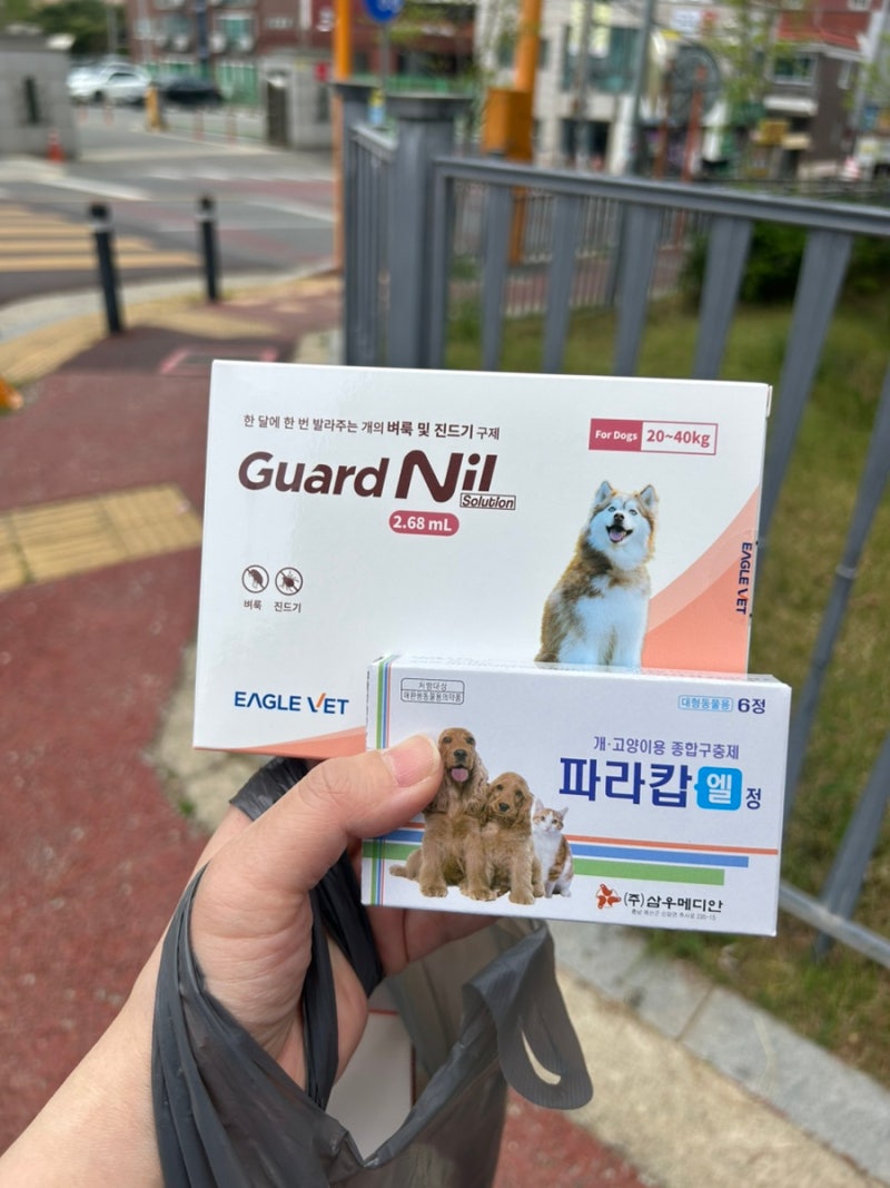 강아지 산책 바르는 진드기 기피제 반려견 프론트라인 가격