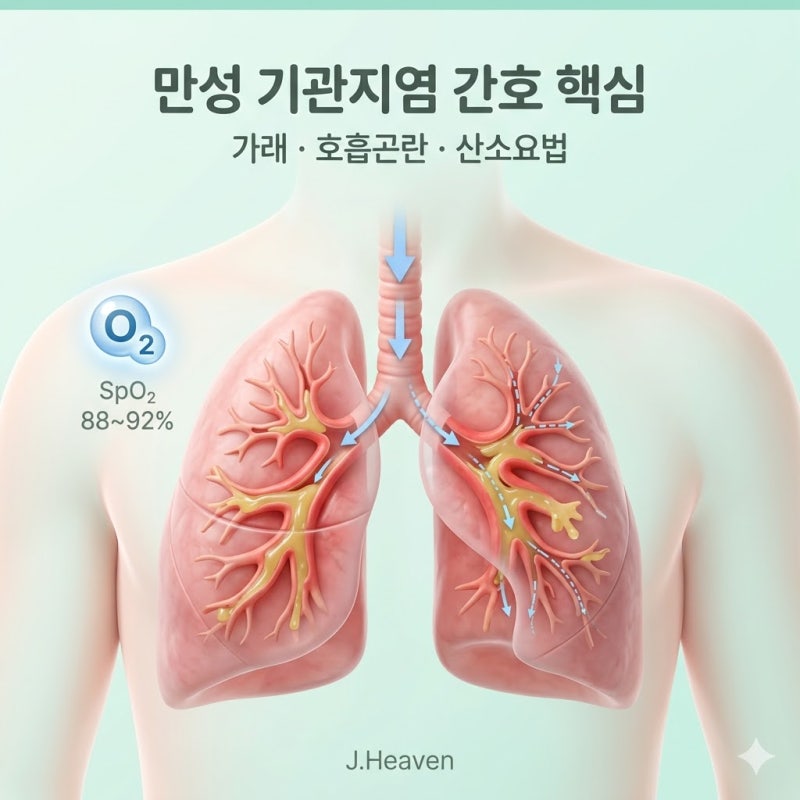 만성 기관지염 간호 핵심 정리, 가래·호흡곤란·산소요법 기준