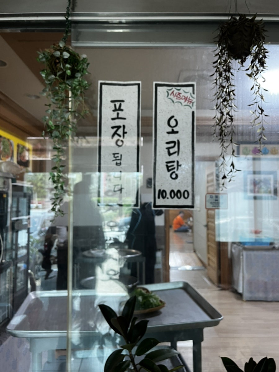 거북이가반한오리 사진 2