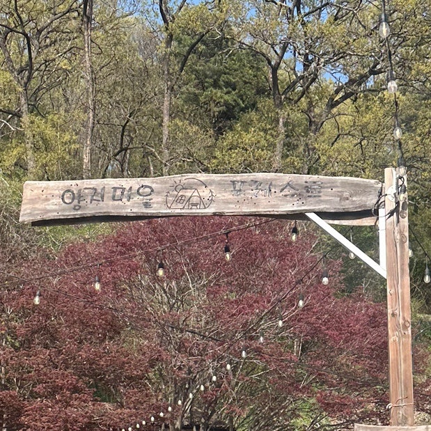 사진 4