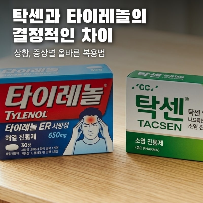 탁센 vs 타이레놀, 나에게 맞는 상비약은? (성분, 효능, 부작용 완벽 비교
