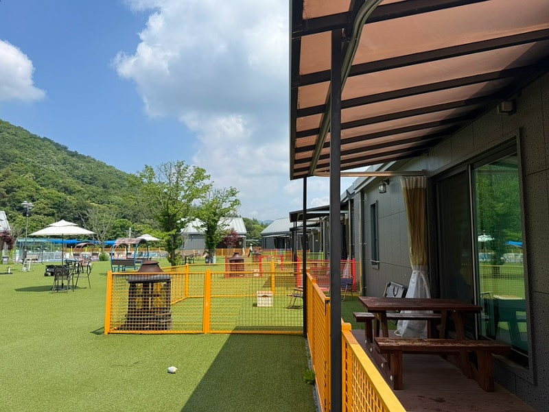 양평 애견동반 숙소추천 조식제공 수영시설 반려견 맞춤시설 별빛애견펜션