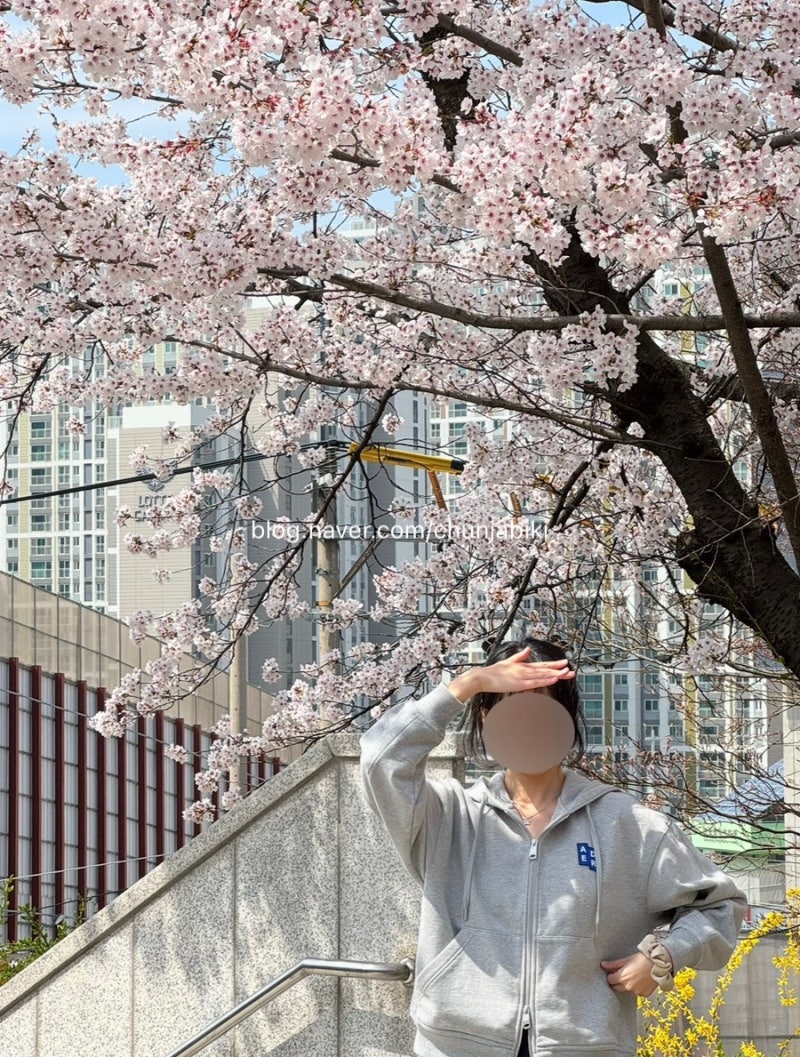 아더에러 후드집업 xxs 구매 여자 후기 (xs사이즈비교)