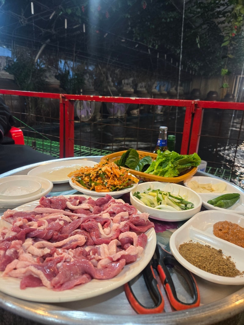 나주 숨은 맛집 꽃무지야생화촌 잉어 가득한 힐링 공간 + 오리고기 찐맛