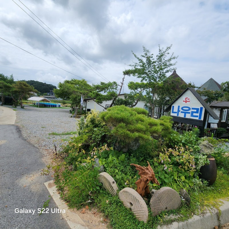 사진 2