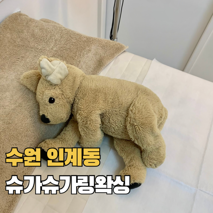  수원 인계동 페이스 헤어라인 왁싱 슈가슈가링왁싱