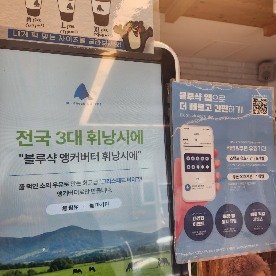 블루샥 제주법원점 사진 2