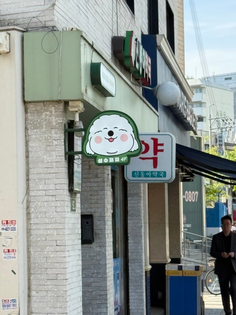 사진 9