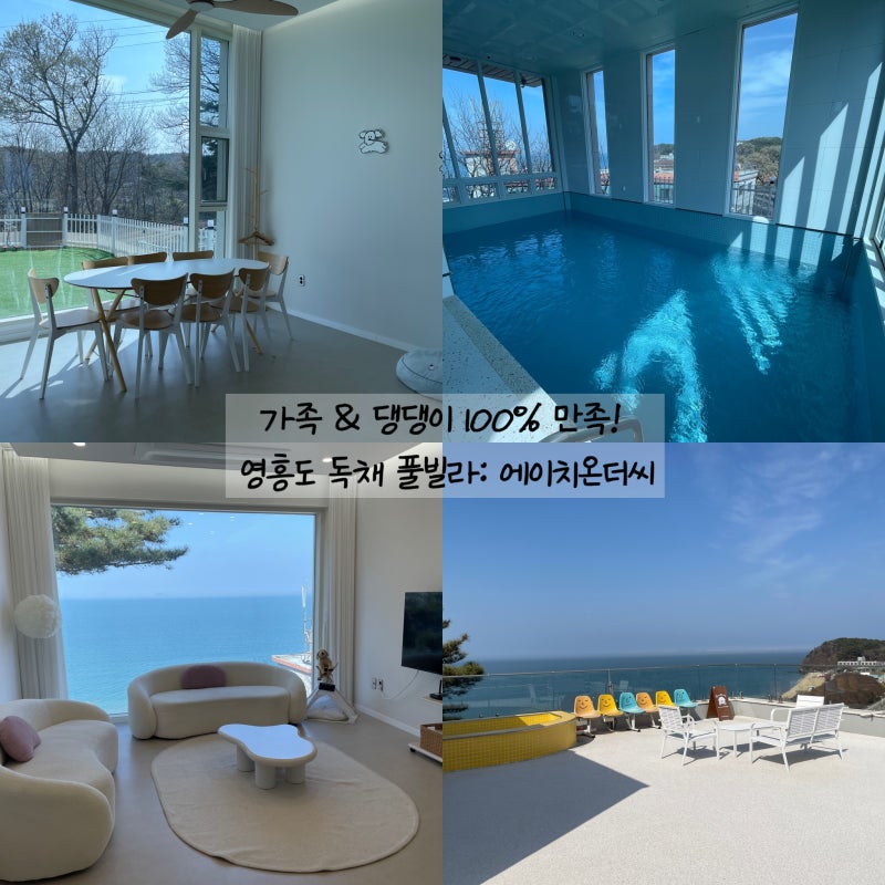 사진 2