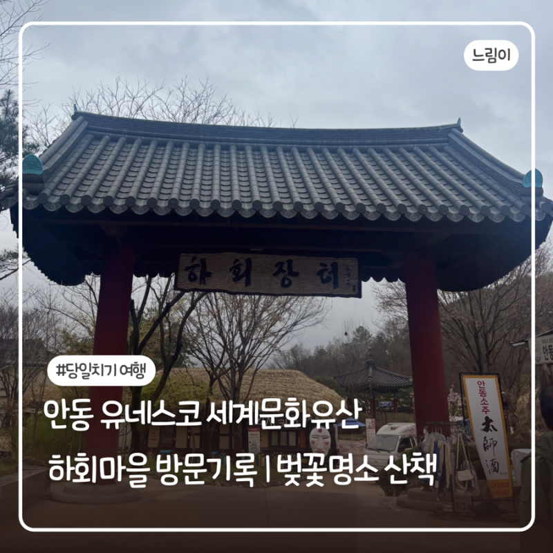 당일치기 | 안동 하회마을 입장료 셔틀 이용방법, 벚꽃명소 산책