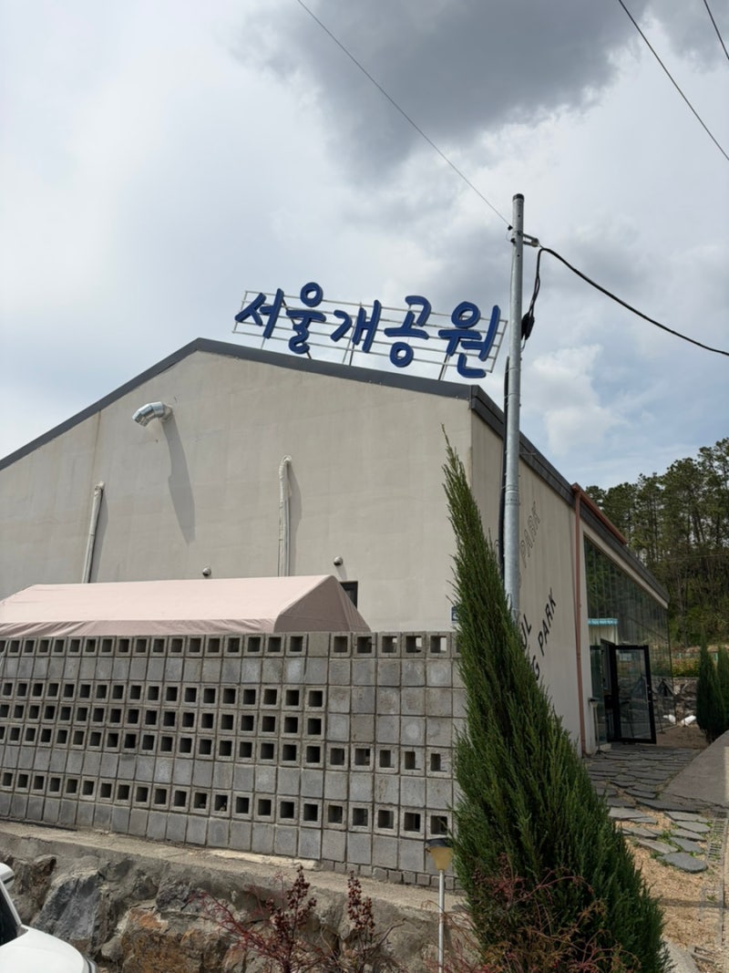 사진 5