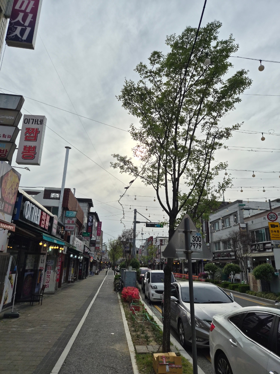 안동순대국 사진 1