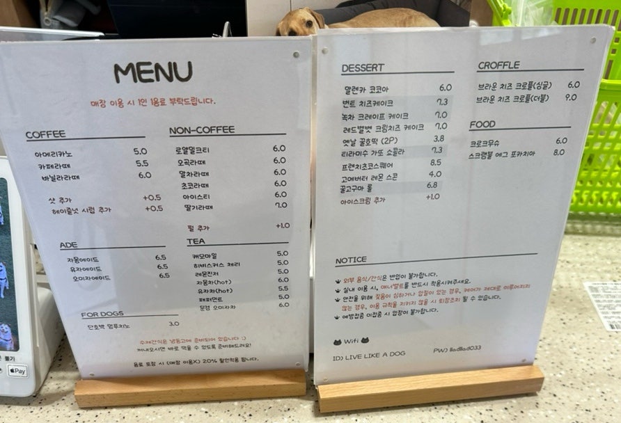 엘라드 사진 6