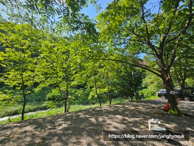 Yeondeulre photo 3