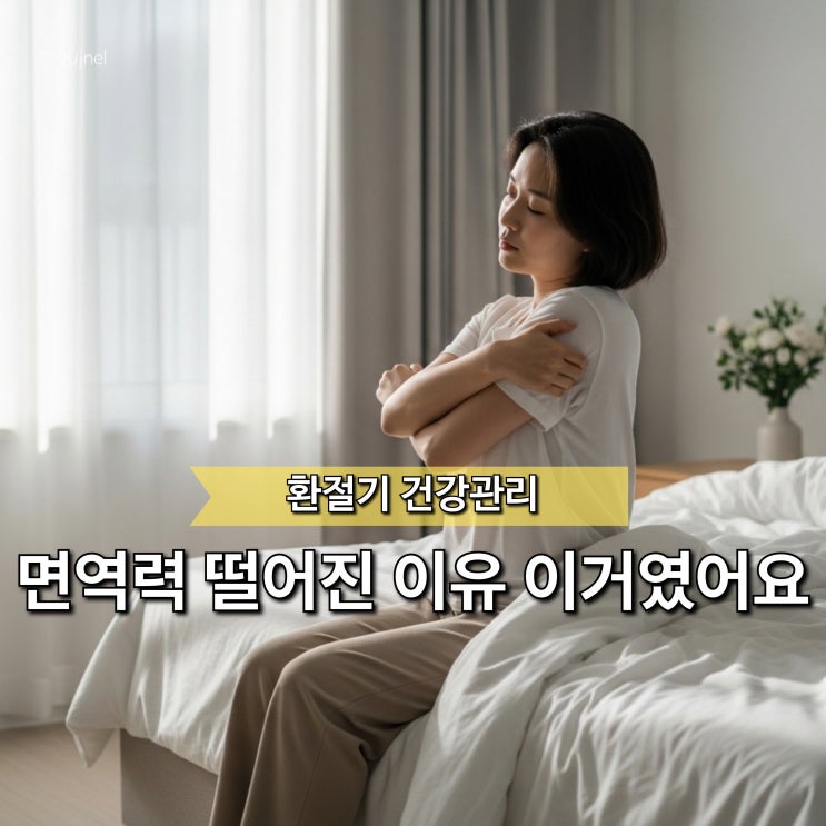  "이 5가지로 환절기 알레르기 끊었습니다" 약보다 먼저 바꿨습니다