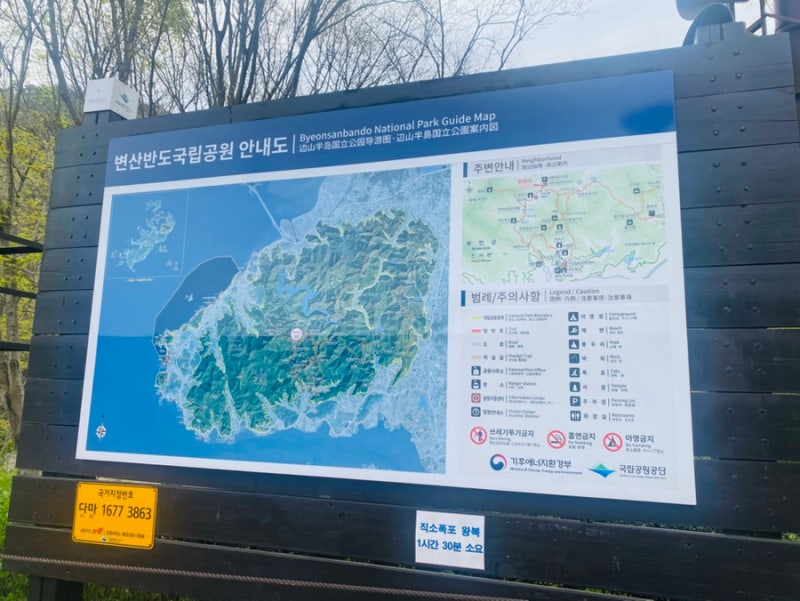 사진 8