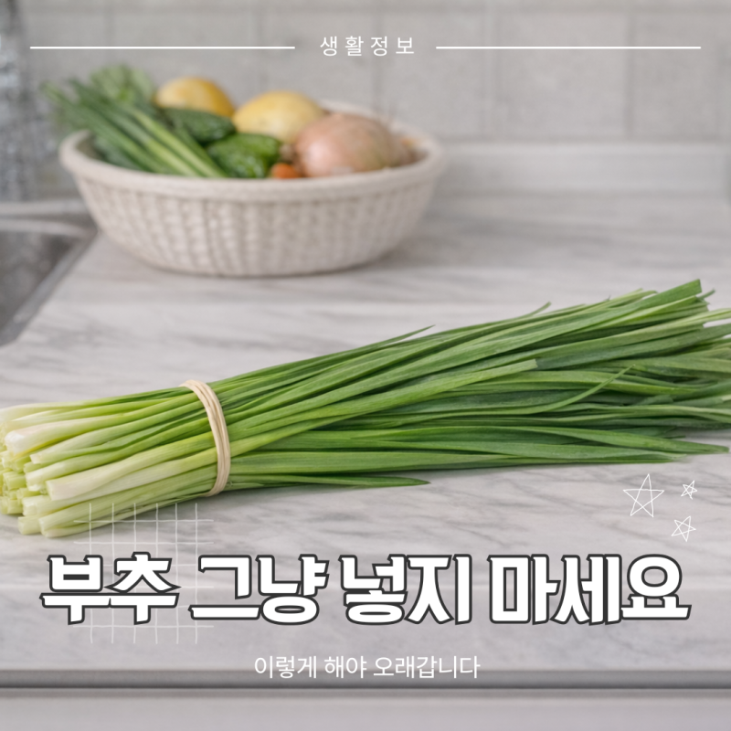 부추 보관법 냉장 냉동 기준 이렇게 하면 오래갑니다