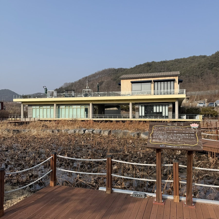 카페로투스 사진 3